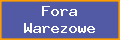 Fora Warezowe